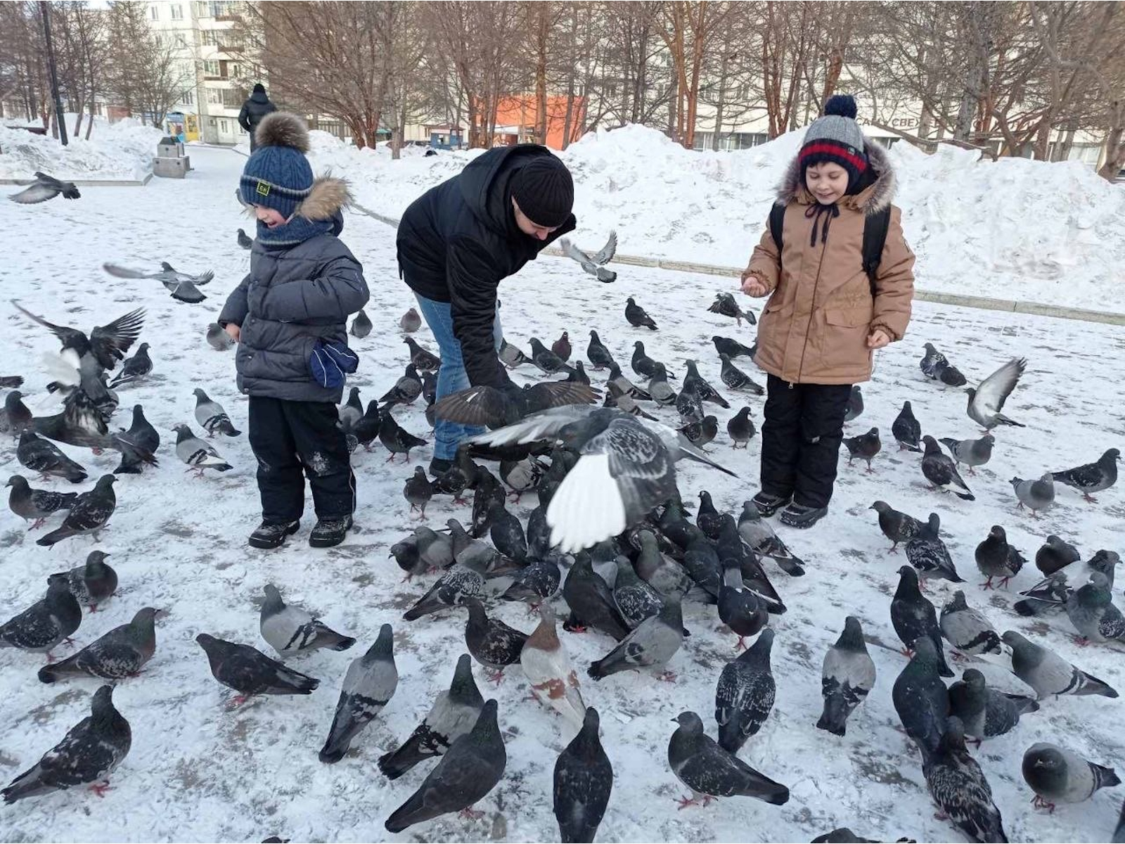 3 февраля - Международный день кормления птиц.