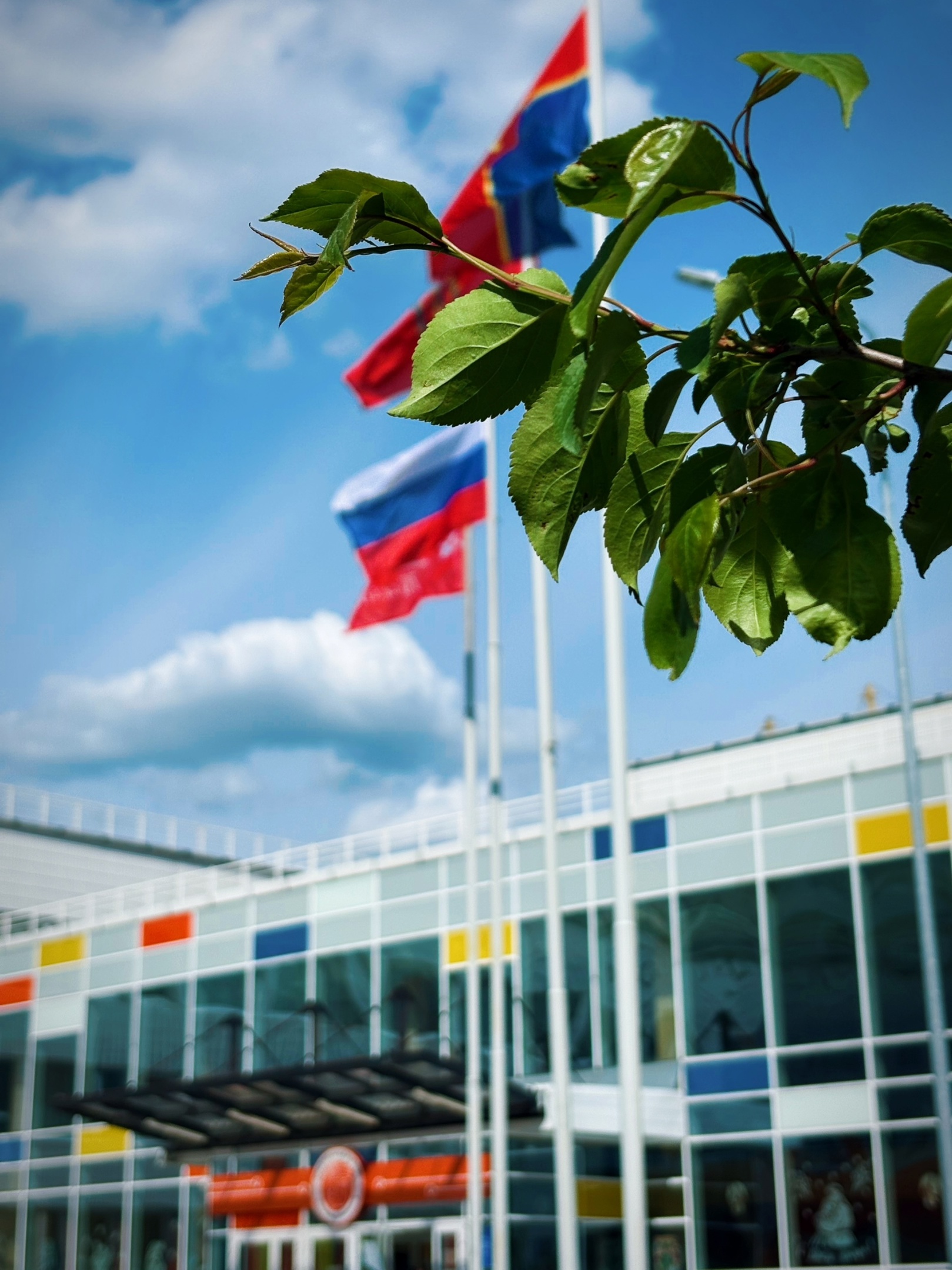 До начала школьных летних каникул остались считанные дни!.