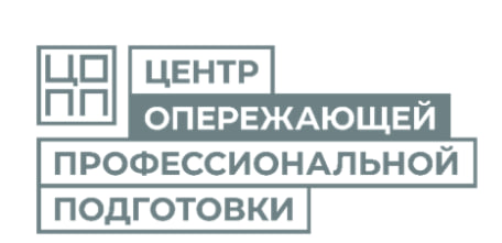 Региональный проект «Профдебют».